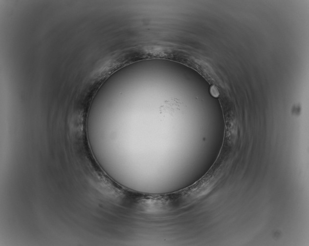 X0000096960466200802151240