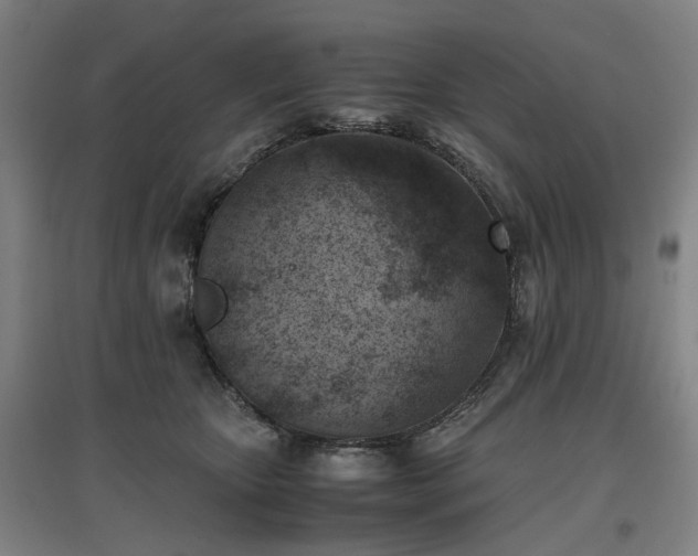 X0000096960467200802151240