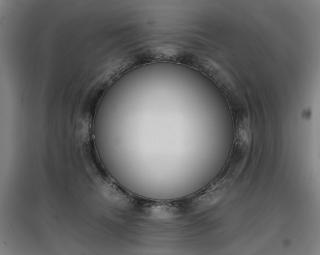 X0000096960468200802151240