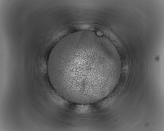 X0000096960469200802151240