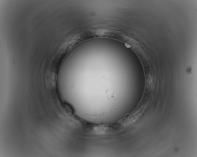 X0000096960470200802151240