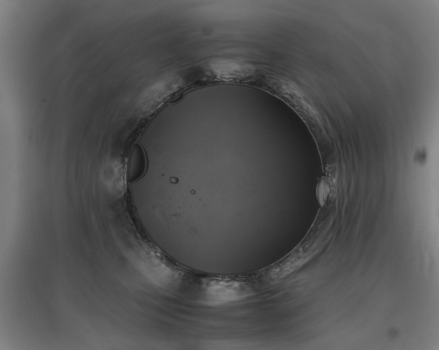 X0000096960471200802151240