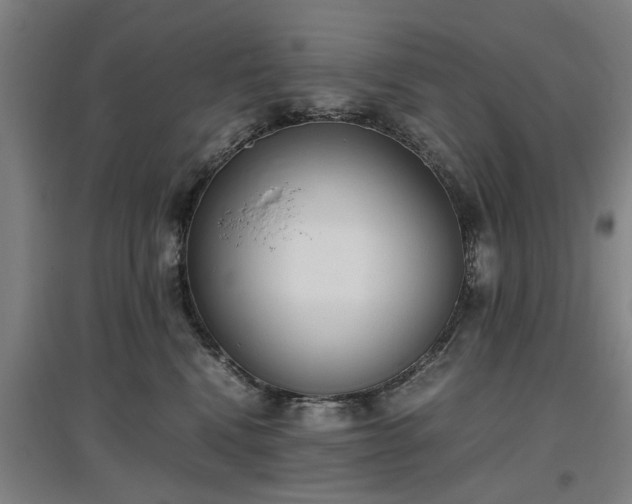 X0000096960472200802151240