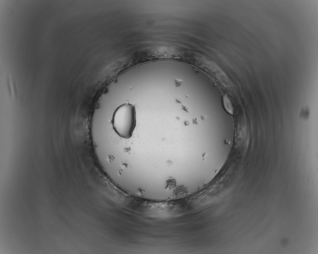 X0000096960473200802151240