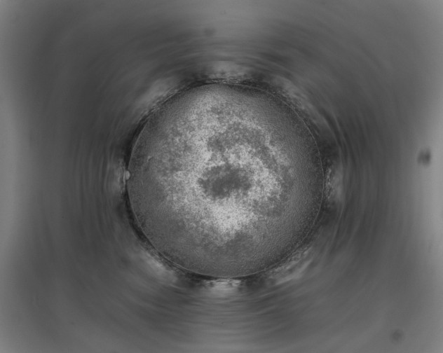 X0000096960474200802151240