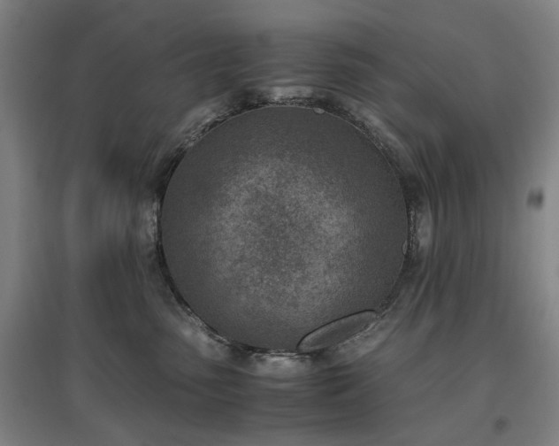 X0000096960475200802151240