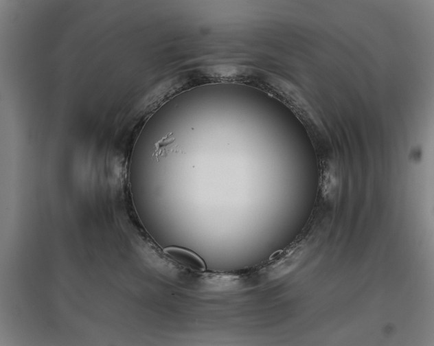 X0000096960476200802151240