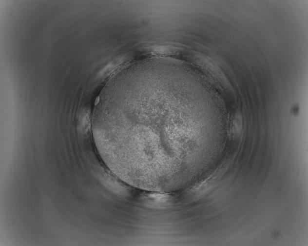 X0000096960478200802151240