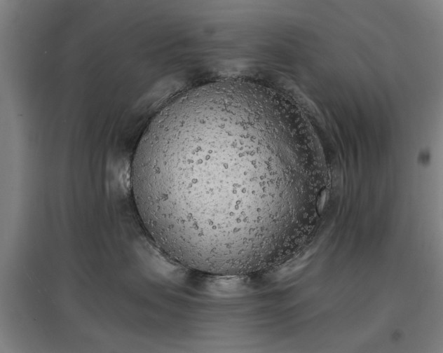 X0000096960479200802151240