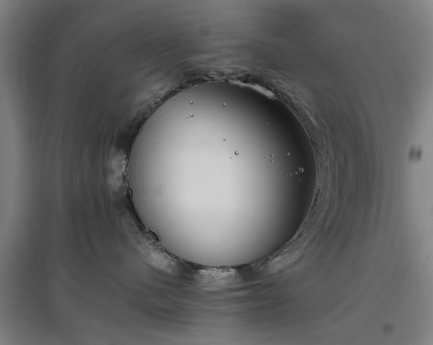 X0000096960480200802151240