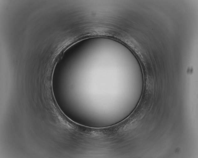 X0000096960481200802151239