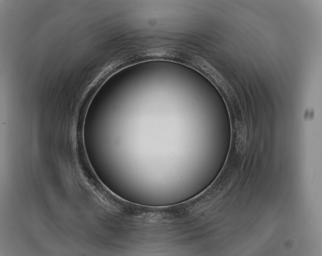 X0000096960482200802151239