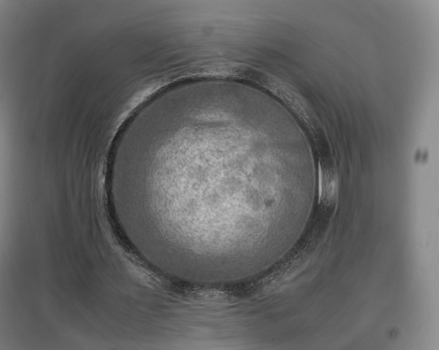 X0000096960483200802151239