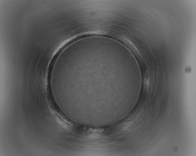 X0000096960484200802151239