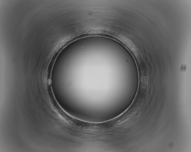 X0000096960485200802151239