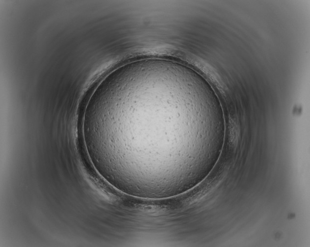 X0000096960486200802151239