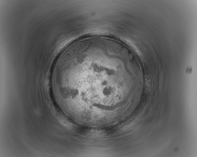 X0000096960487200802151239