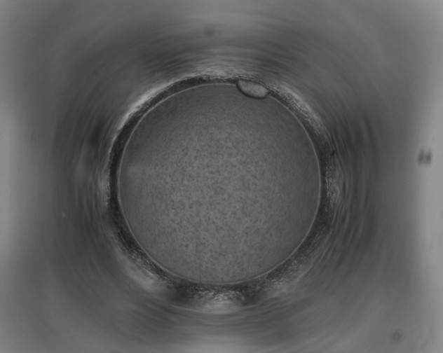 X0000096960488200802151239