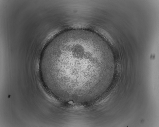 X0000096960491200802151239