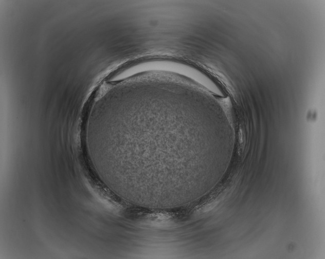 X0000096960492200802151239