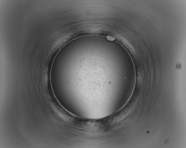 X0000096960493200802151239