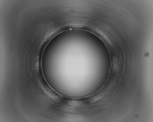 X0000096960494200802151239