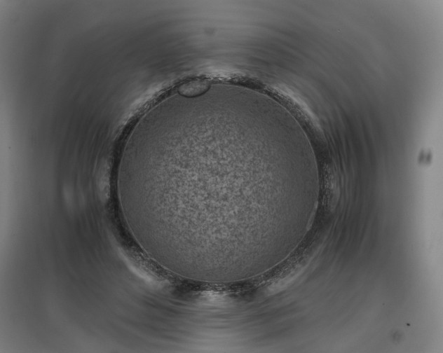 X0000096960496200802151239