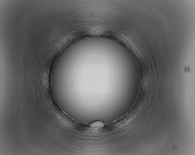 X0000096960497200802151239