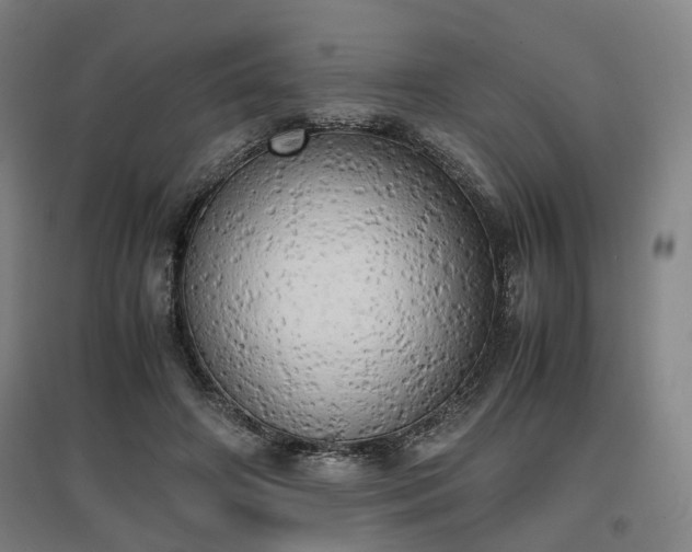 X0000096960498200802151239