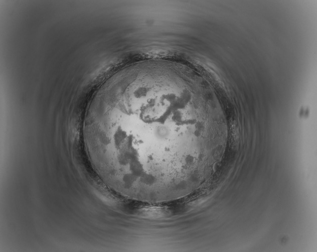 X0000096960499200802151239