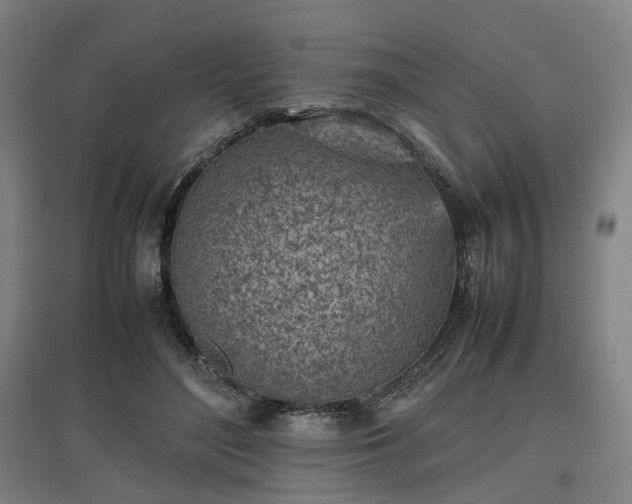 X0000096960500200802151239