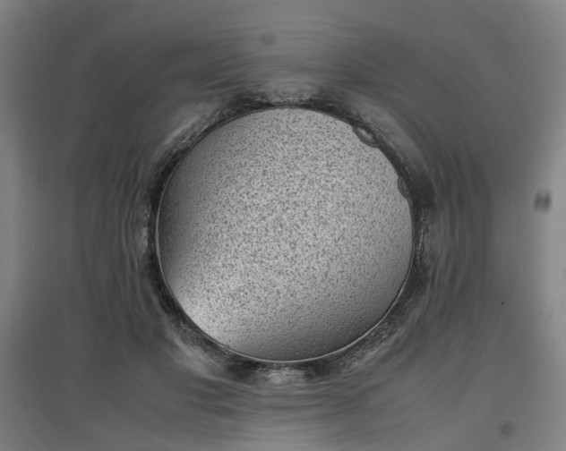 X0000096960501200802151239