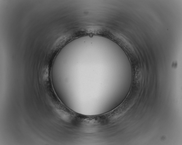 X0000096960502200802151239