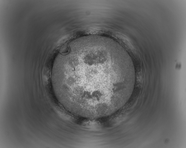 X0000096960503200802151239