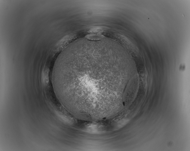 X0000096960504200802151239