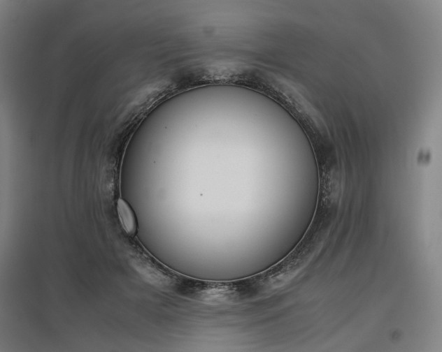 X0000096960505200802151239