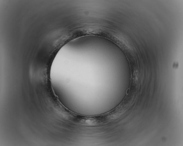 X0000096960506200802151239