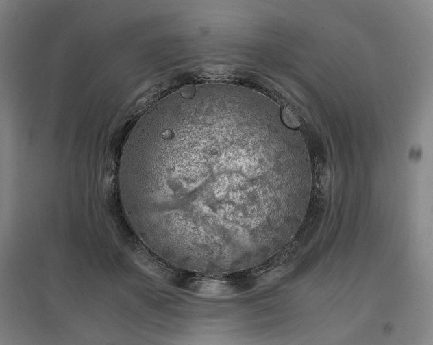 X0000096960507200802151239