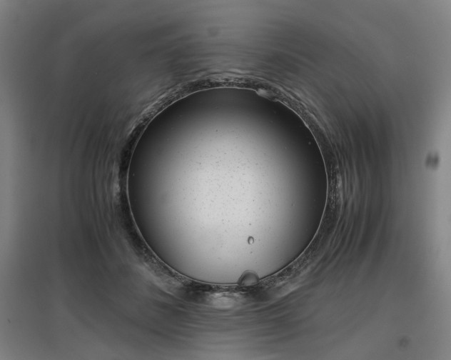 X0000096960508200802151239