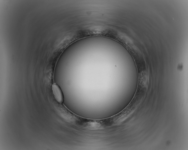 X0000096960509200802151239