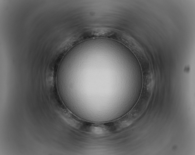 X0000096960510200802151239