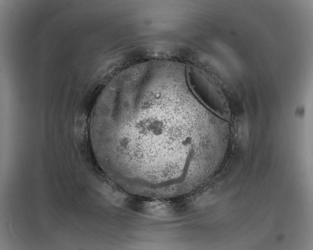 X0000096960511200802151239