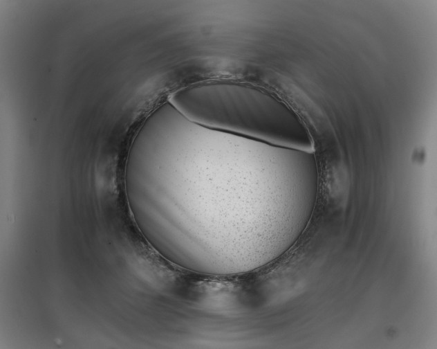 X0000096960512200802151239