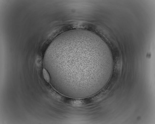 X0000096960513200802151239