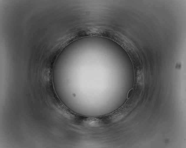 X0000096960514200802151239