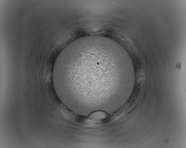 X0000096960515200802151239