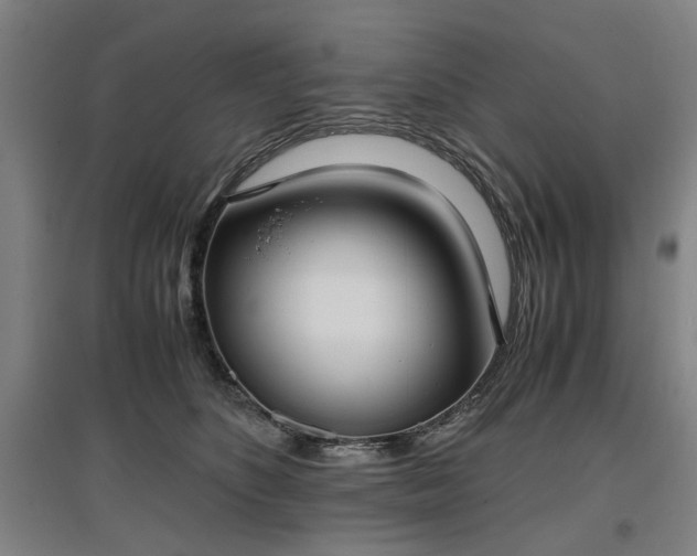 X0000096960516200802151239