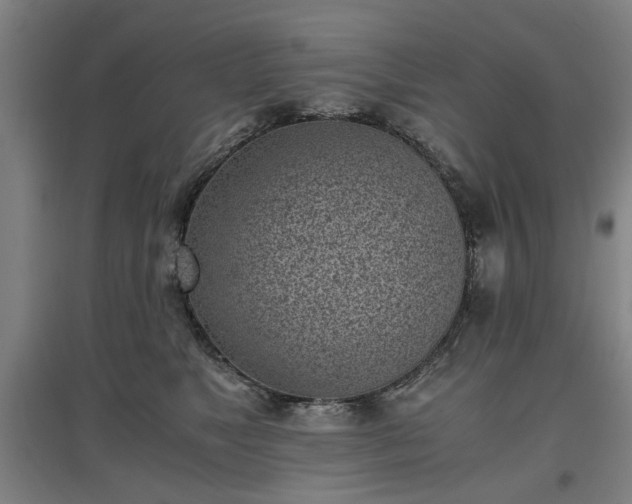 X0000096960517200802151239