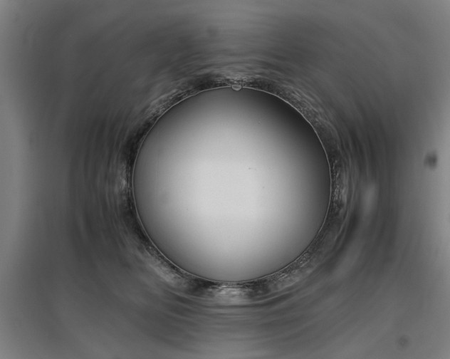 X0000096960518200802151239