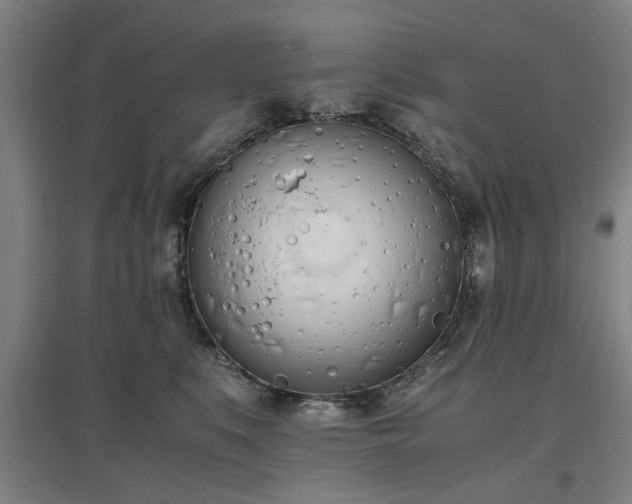 X0000096960519200802151239